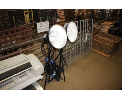 A camera tripod; and two sets of photography lights