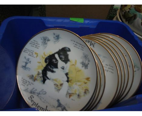 Small collection of ceramic wall plates of various breeds of dogs