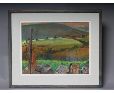 DAVID WILLIAM MORRIS (Contemporary), "Orange Twine and Across to Murthwaite", pastel, signed with initials, artist's label to