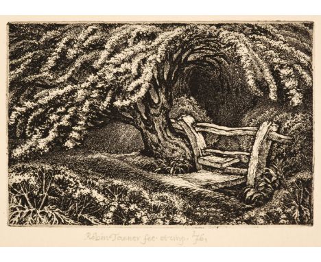 ARR * Tanner (Robin, 1904-1988). The Old Thorn, 1975, etching, a very fine, richly inked impression of the fourth (final) sta