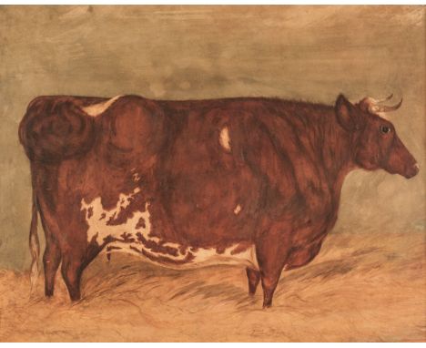 * English Naive School (late 18th century). Young Dandy, portrait of a Longhorn bull, watercolour on board, the bull named in