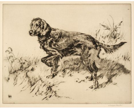 * Austin (Winifred Marie Louise, 1876-1964). Irish Setter, etching on wove, signed lower right, plate size 22.5 x 29 cm, shee