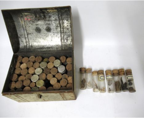 Miniature tin trunk containing a collection of various test tubes with animal shells and insects