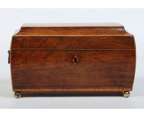 A Regency boxwood tea caddy, with fitted interior, brass loop handles and ball feet, 28cm wide.  Condition Report. To be used