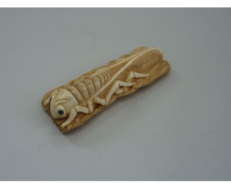 AN IVORY NETSUKE, depicting a grasshopper, characters signed to the back