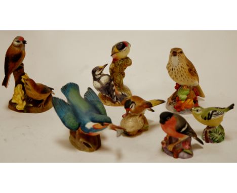 A collection of seven various Royal Worcester bone china bird ornaments as follows: Linnet No. 3365, Goldfinch No. 3239, Gold