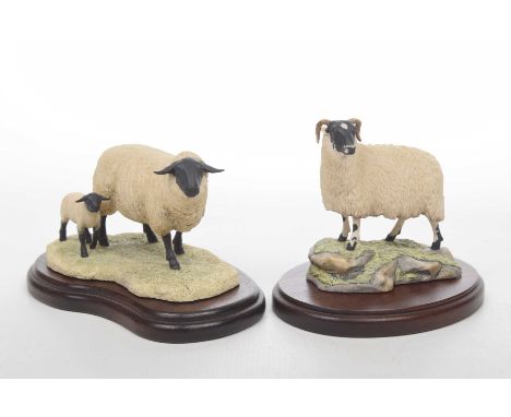 Two Border Fine Art figure groups
To include "Suffolk Ewe and Lamb", model no: 119 and a further "Horn Sheep", both raised on
