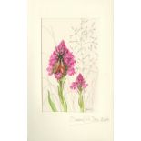 In Fine Presentation Binding, One of 50 Copies With Original Watercolours Sayers (B.