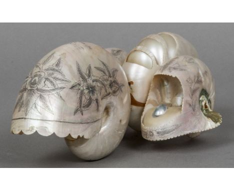 An unusual 19th century seashell desk standFormed from three shells, inscribed Souvenir de N Caledonie (New Caledonia).  26 c