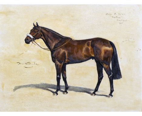 *AR LIONEL HAMILTON-RENWICK (1917-2003) BritishStudy for Portrait, Red Rum, Southport 1975Oil on board Signed and titled44 x 