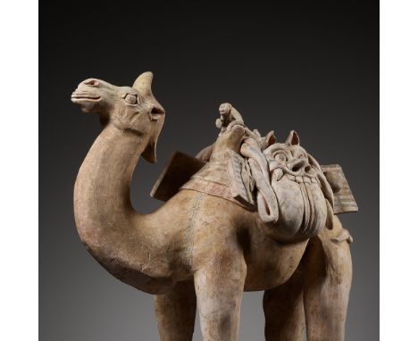 A RARE AND LARGE POTTERY GROUP OF A MONKEY RIDING A CAMEL, TANG DYNASTYScientific Analysis Report: A thermoluminescence analy