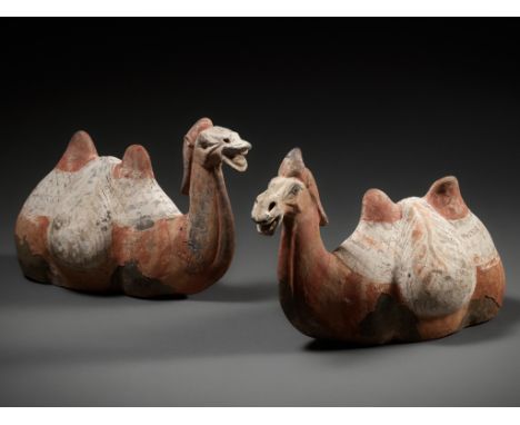 A RARE PAIR OF BACTRIAN CAMELS, PAINTED GRAY POTTERY, TANG DYNASTYChina, 618-906. Each animal braying with its head raised, t