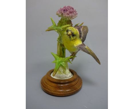 A BOXED ROYAL WORCESTER GOLDFINCH, Spigus Tristis by D. Doughty, on stepped wooden plinth, approximately 21cm high (a/f)