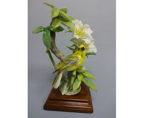 A ROYAL WORCESTER HOODED WARBLER, Wilsonia Citrina with Cherokee Rose by D. Doughty, on stepped wooden plinth, approximately 