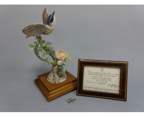 A BOXED LIMITED EDITION ROYAL WORCESTER LESSER WHITE THROAT, Sylvia Curruca and Wild Rose by D. Doughty, with leather framed 