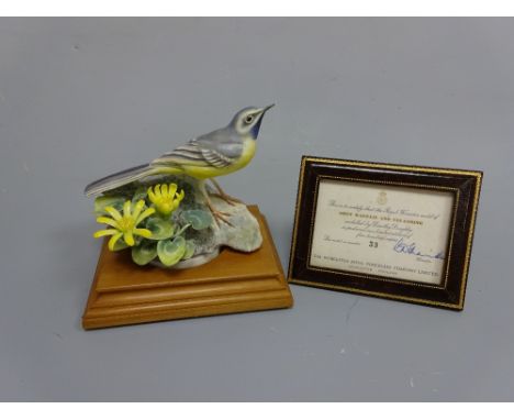 A BOXED ROYAL WORCESTER GREY WAGTAIL, Motacilla Melanope and Celandine by D. Doughty, with leather framed certificate, No.331