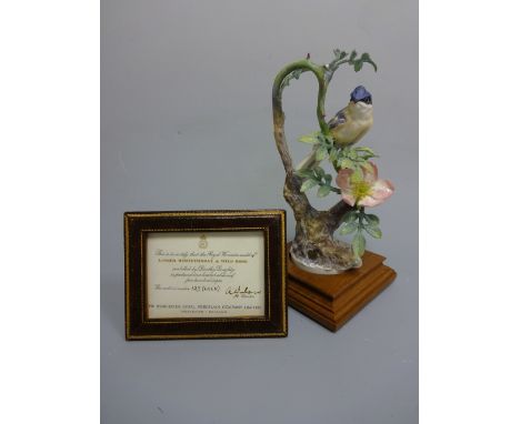 A BOXED LIMITED EDITION ROYAL WORCESTER LESSER WHITE THROAT, Sylvia Curruca and Wild Rose by D. Doughty, with leather framed 