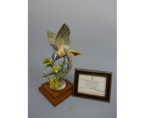 A BOXED LIMITED EDITION ROYAL WORCESTER REDSTART, Ruticilla Phoenicurus and Gorse by D. Doughty, with leather framed certific