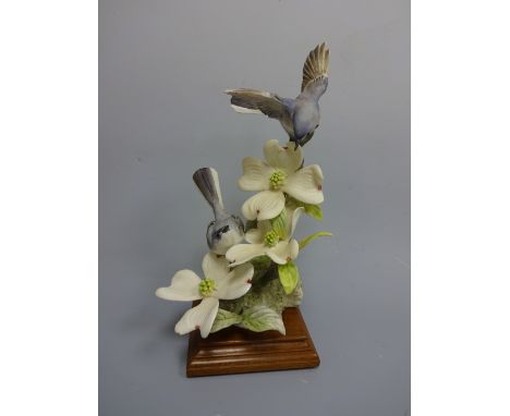 A ROYAL WORCESTER BLUE-GREY GNATCATCHER, Polioptila Caerulea Ceridea by D. Doughty, on stepped wooden plinth, approximately 3
