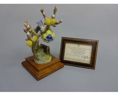 A BOXED ROYAL WORCESTER LIMITED EDITION BLUE TIT, Parus Caeruleus and Pussy Willow by D. Doughty, with leather framed certifi