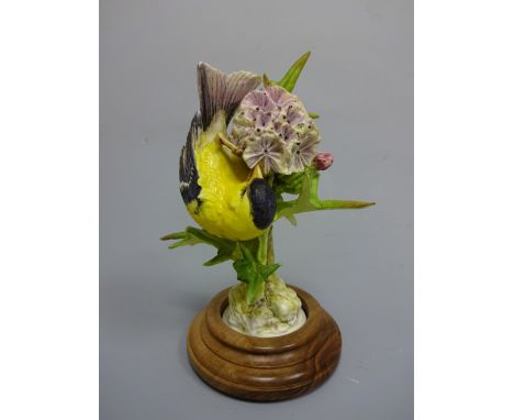 A BOXED ROYAL WORCESTER GOLDFINCH, Spinus Tristis by D. Doughty, on stepped plinth, approximately 21cm high (a/f)