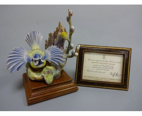 A BOXED ROYAL WORCESTER LIMITED EDITION BLUE TIT, Parus Caernuleus and Pussy Willow by D. Doughty, with leather framed certif