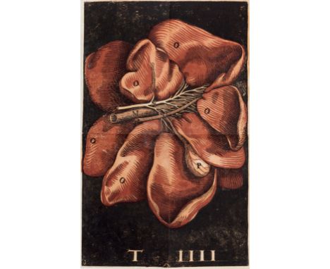 Anatomical illustration.- Aselli (Gaspare) De lactibus sive lacteis venis quarto vasorum mesaraicorum genere nove invento...d