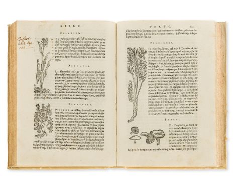 Agriculture.- Sansovino (Francesco), "Giovanni Tatti".  Della Agricoltura, collation: *4 A-Aaa4, title with woodcut printer's