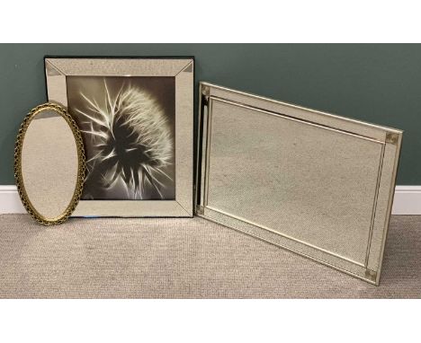 THREE WALL MIRRORS comprising, mirror edged example, central artwork print titled 'Little Thorny' verso, 89 (H) x 74cms (W), 