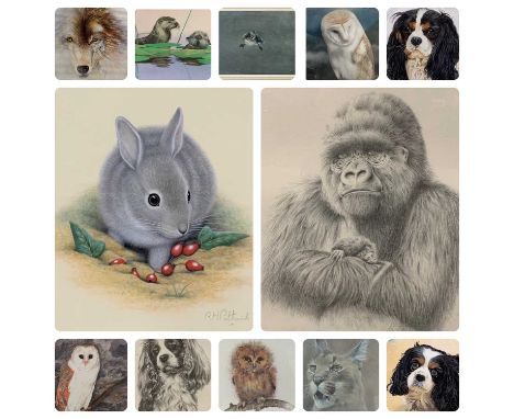 TWELVE ANIMAL STUDY PAINTINGS AND PRINTS BY VARIOUS ARTISTS including Peter Hilbick limited edition print numbered 89/750 of 