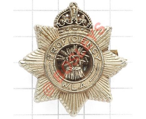 Womens Land Army Proficiency WW2 plastic badge.  A Stanley & Sons Walsall Brooch pin GC Introduced in 1943.