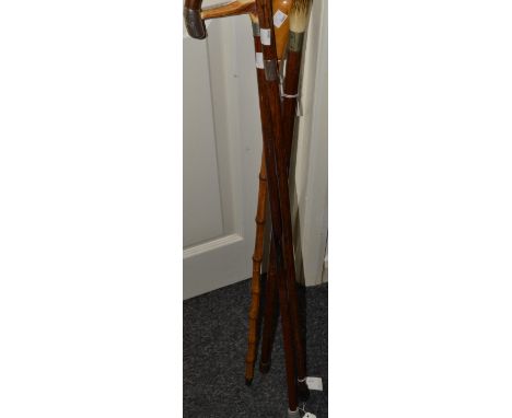 An Edwardian silver collared and capped gentleman's walking stick; a gentleman's horn handled walking stick; another, similar