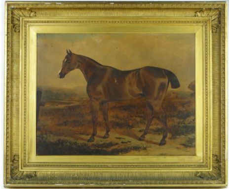 Manner of George Paice,
19th century oil on canvas, portrait of a chestnut hunter, unsigned, 20" x 26", framed.