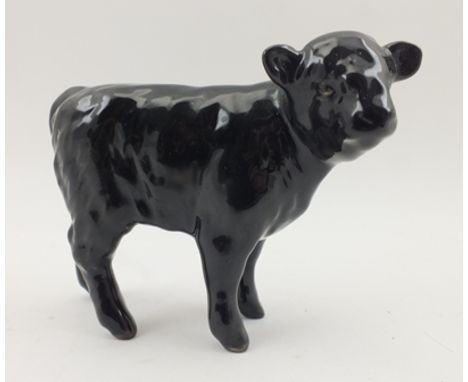 A BESWICK CERAMIC ABERDEEN ANGUS CALF 