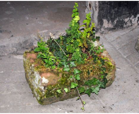 A small rectangular form sandstone trough.  Height 23 cm, width 53 cm, depth 39 cm.