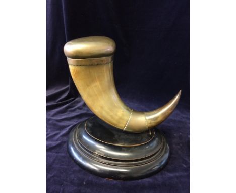 Bovine horn mounted snuff box