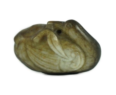 A Chinese white and black jade 'duck' pebble carving, Song dynasty or later the duck with its head bent backwards biting a sp