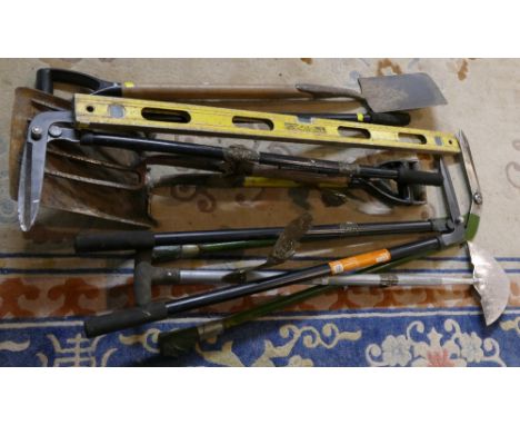 Quantity of garden tools including spades and forks.  (Tea-chest not included)