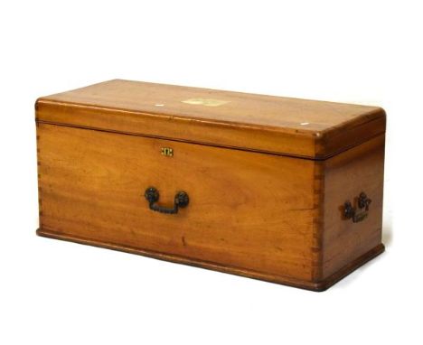 Late 19th/early 20th Century Eastern camphor wood trunk having cast brass carry handles to front and sides   Condition: 