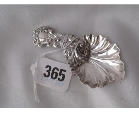 Victorian caddy spoon with shell bowl and Rococo  handle 3.5” long Sheff 1900 by RM & EH  8g   