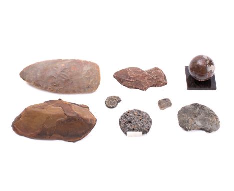 A Neolithic knapped flint hand axe, probably North African, circa 4000 BC; 15.5cm long; and a small collection of fossils and