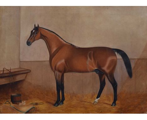 English School (19th/ 20th century) Portrait of a chestnut horse in a stable Unsigned, oil on canvas.42.5cm x 58cm (16.75in x