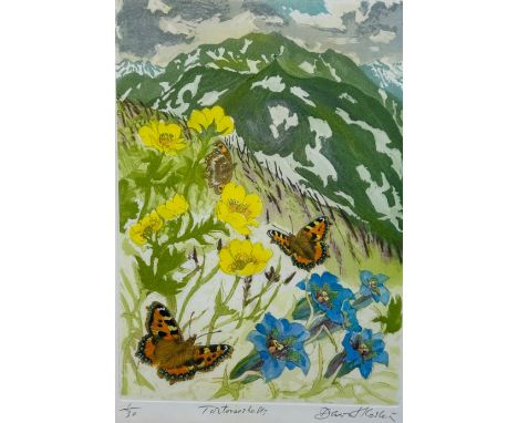 DAVID KOSTER (1926-2014) limited edition lithograph of Tortoiseshell butterflies, signed in pencil and numbered 1/30
