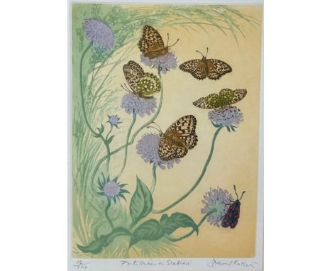 DAVID KOSTER (1926-2014), limited edition lithograph of butterflies, signed in pencil and numbered 16/100 