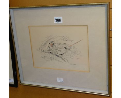 JOHN BUSBY lithograph with added watercolour - entitled verso 'Red Tailed Tropic Bird at Nest', 17 x 23cms Condition reports 