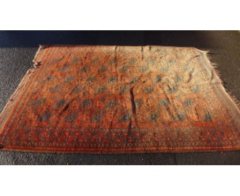 Large Bokhara carpet / rug, the red field with three rows of seven guls  336 x 220cm 