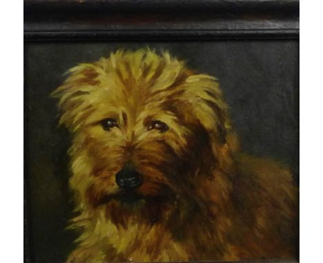Wilkinson  'Terrier' Oil-on-Board,  signed and dated verso, 1906, in an oak frame, 25 x 21cm 
