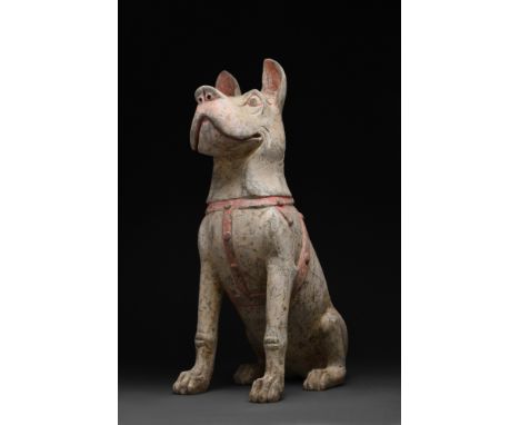 Ca. 202BC-220AD. A huge pottery model of a guard dog in a seated position, facing forwards with head alert and ears pricked u