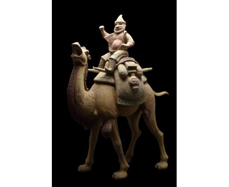 Ca. 618-907 AD A large ceramic figurine of a Bactrian camel, also known as a Mongolian camel, with a rider. The beast feature