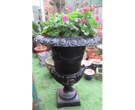 Large black painted cast iron garden urn with lion head handles and cherubs carrying a garland of fruit, complete with plants